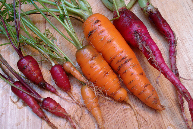 Come coltivare carote
