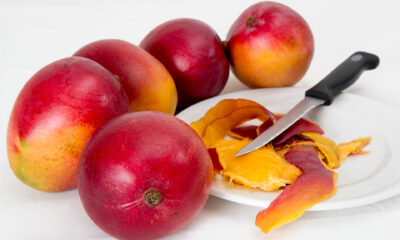Come coltivare mango