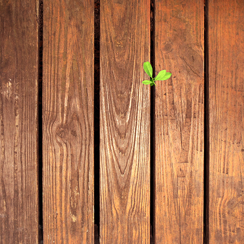 Come pulire il legno con detergenti naturali fatti in casa