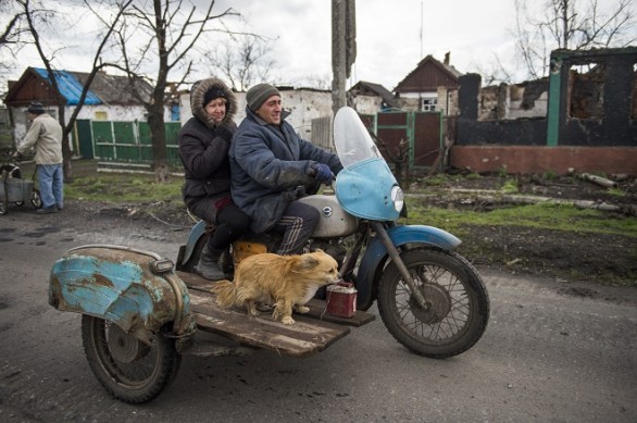 Festa del Cane 2015, i Parchi giochi per cani