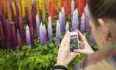ragazza scatta foto giardino con iphone
