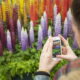 ragazza scatta foto giardino con iphone