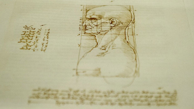 Un disegno di Leonardo da Vinci