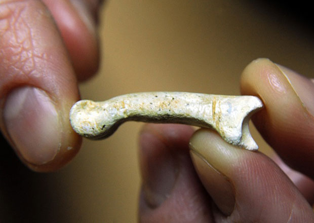 Nove artigli d’aquila sono i gioielli più antichi del mondo?