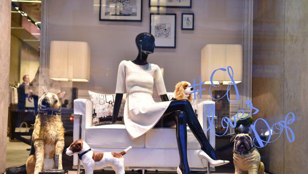 Fuorisalone 2015: Elisabetta Franchi debutta con la EF Loves Dogs, a tutela e a difesa degli animali