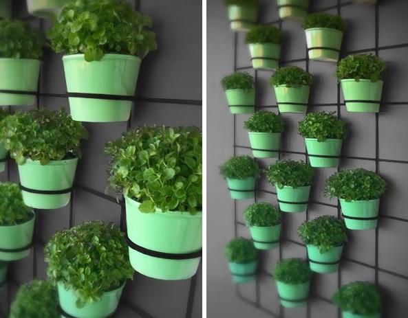 Come creare un orto sul balcone con il riciclo creativo