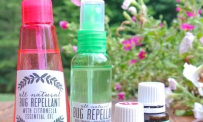 Repellente anti zanzare