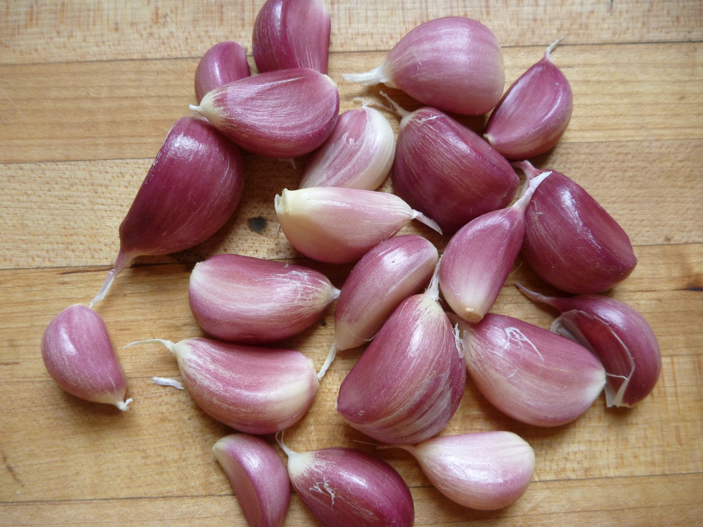 Come coltivare l’aglio in vaso partendo dagli spicchi