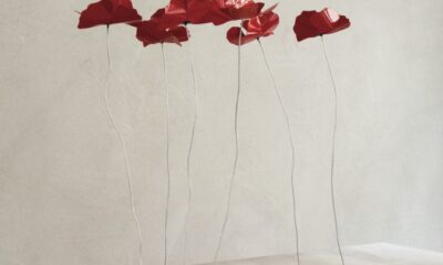 Papaveri di Fiori di Latta