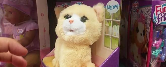 Il gattino di peluche &#8220;posseduto&#8221; (Video)