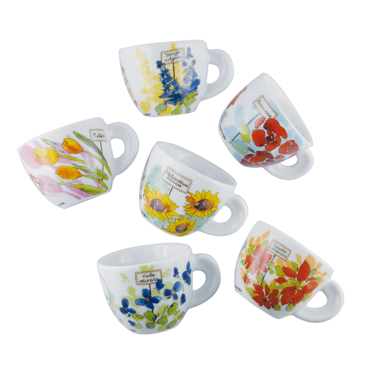 Ancap collezione 2015 giardino delle meraviglie