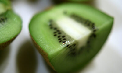 Come coltivare kiwi
