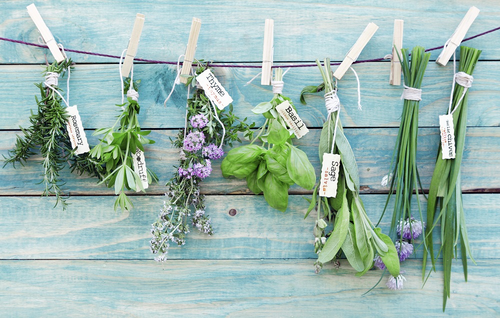 Congelare le erbe aromatiche