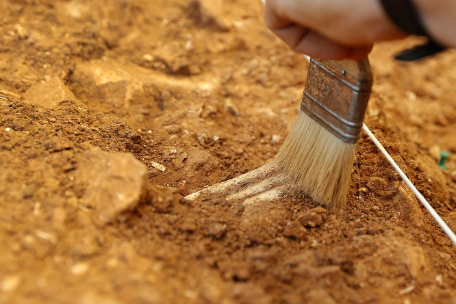 Pompei, scoperta rara sepoltura infantile