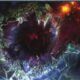 Warhammer 40k Warp