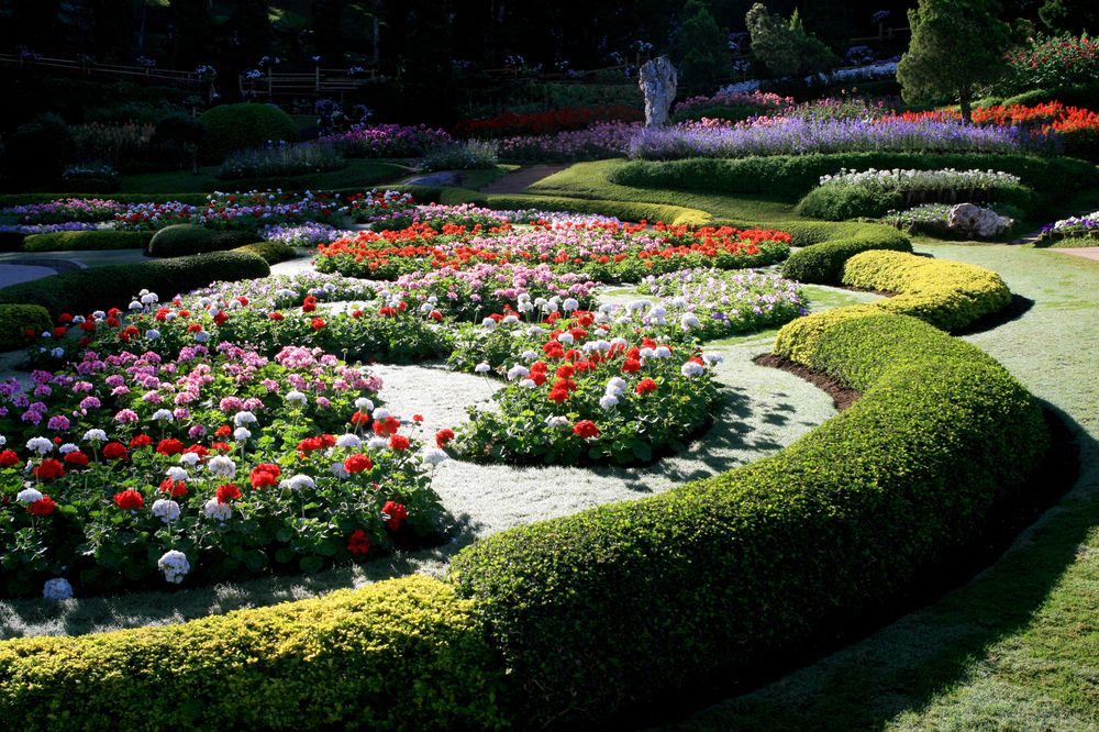 Tenere in ordine giardino