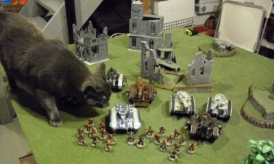 warhammer 40k gatto
