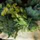 Coltivare cime rapa