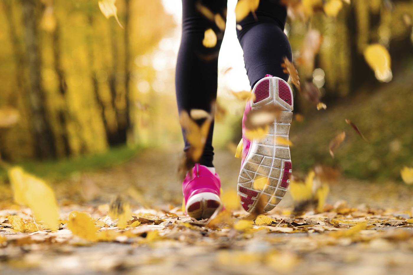 Una passeggiata al giorno allunga la vita di 7 anni