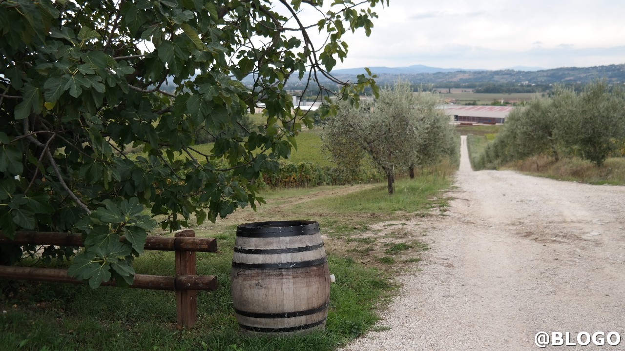 Listone Giordano: il viaggio tra legno, vini, arte e sostenibilità, le foto