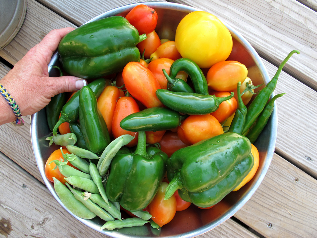 Orto sul balcone, le 5 regole auree per un angolo verde perfetto