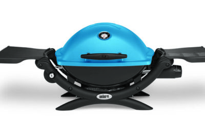 Weber barbecue multicolor