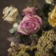 essiccare le rose