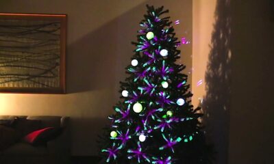 Albero Natale futuro