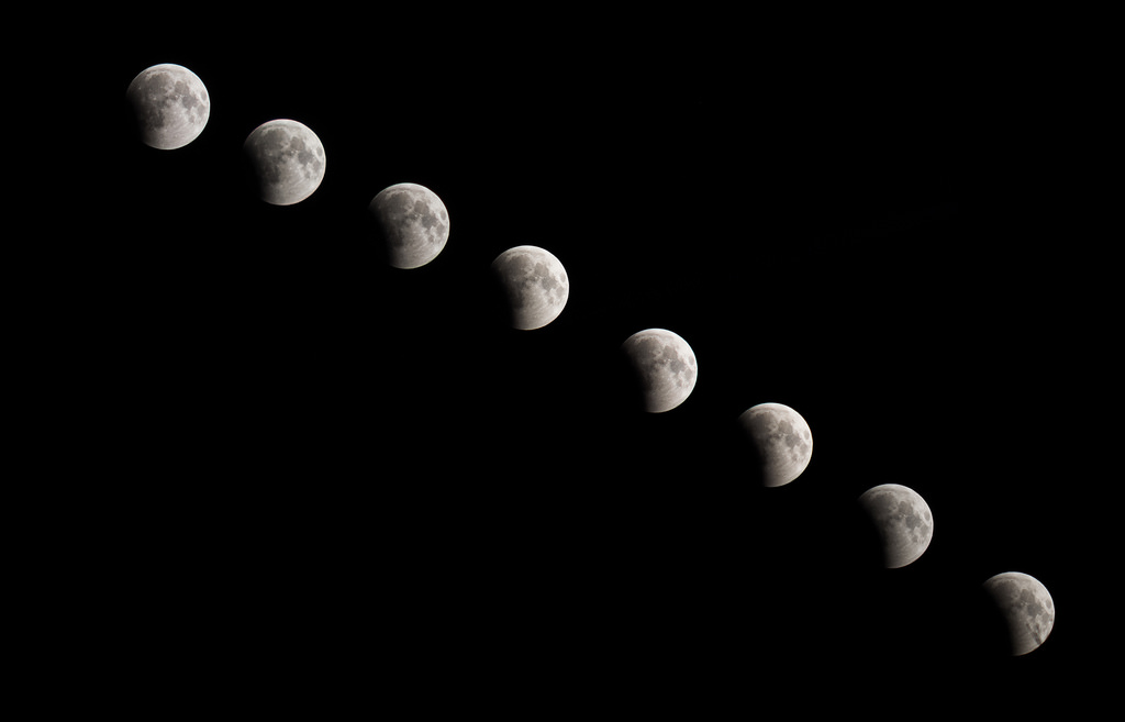 Calendario lunare e giardinaggio: ad ogni fase della luna un lavoro nell&#8217;orto