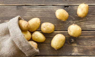Patate