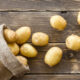 Patate