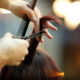 tagliare capelli