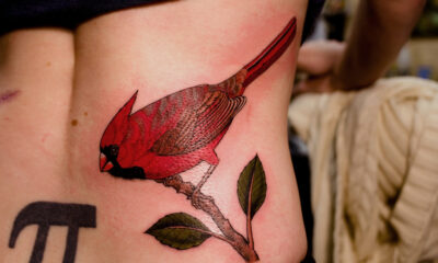 Tatuaggio su cicatrice