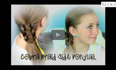 Cobra Braid