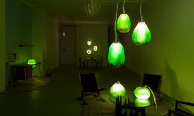 Illuminazione con alghe