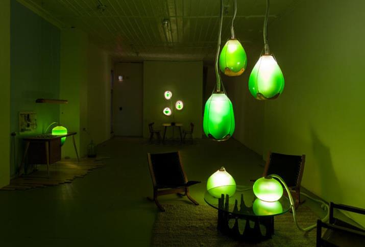 Illuminazione del futuro, le alghe protagoniste di un&#8217;insolita installazione luminosa