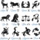 Segni zodiacali
