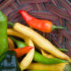 Come coltivare peperoncino