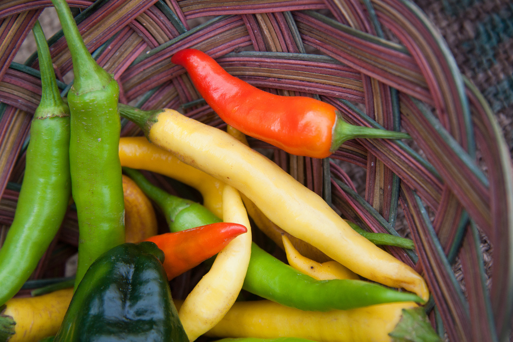 Come coltivare il peperoncino in vaso per le ricette piccanti