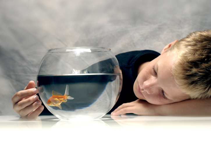 Come pulire l&#8217;acquario ed evitare cattivi odori in casa