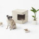 Nendo accessori animali