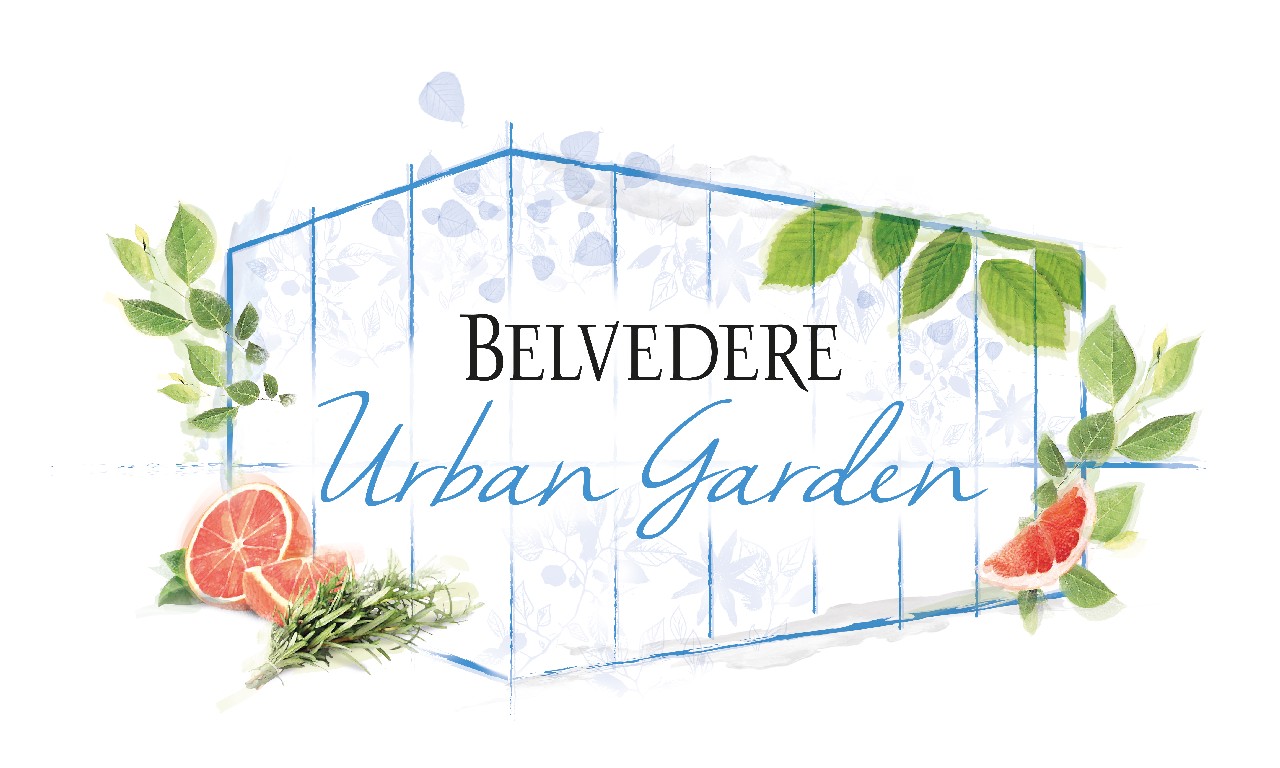 Fuorisalone 2016 Milano: Belvedere Vodka presenta l&#8217;esclusivo Urban Garden e il nuovo concetto di dining experience