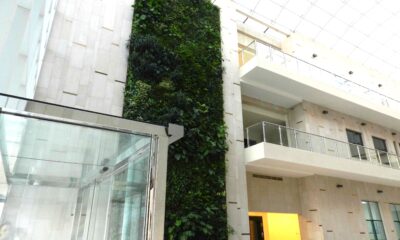 Giardini verticali Sundar Italia Emirati Arabi Uniti