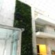 Giardini verticali Sundar Italia Emirati Arabi Uniti