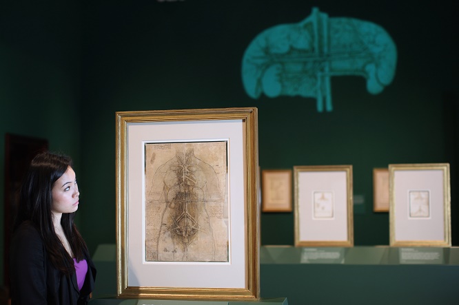Leonardo da Vinci, i disegni inediti in mostra a Dublino