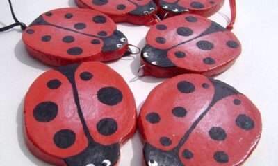 Pasta sale coccinelle
