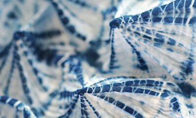 shibori stampa