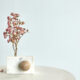 Furnature sovrappensiero Fuorisalone