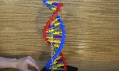 Modello DNA con i Lego