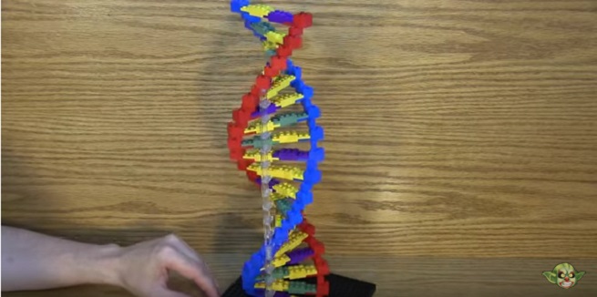 Modello DNA con i Lego